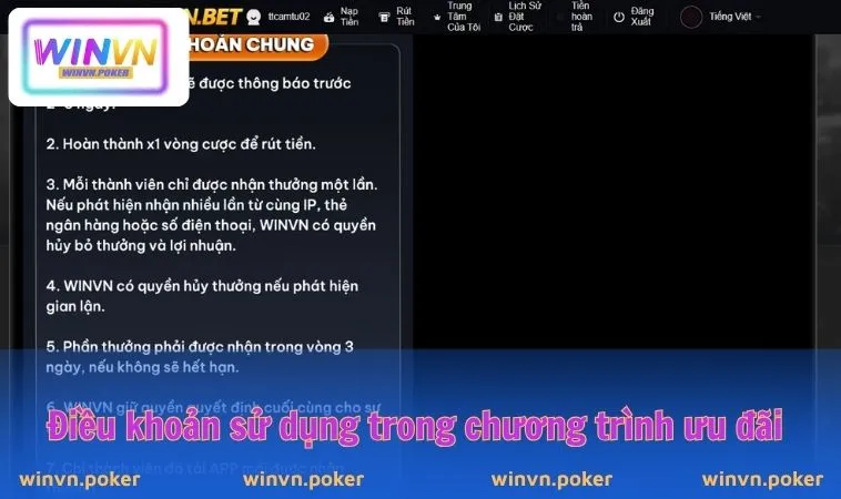 Điều Khoản Sử Dụng WINVN 2 Điều khoản sử dụng trong chương trình ưu đãi