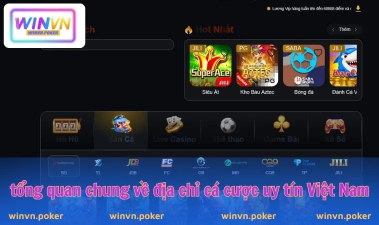 WINVN 26 Tổng quan chung về địa chỉ cá cược uy tín Việt Nam